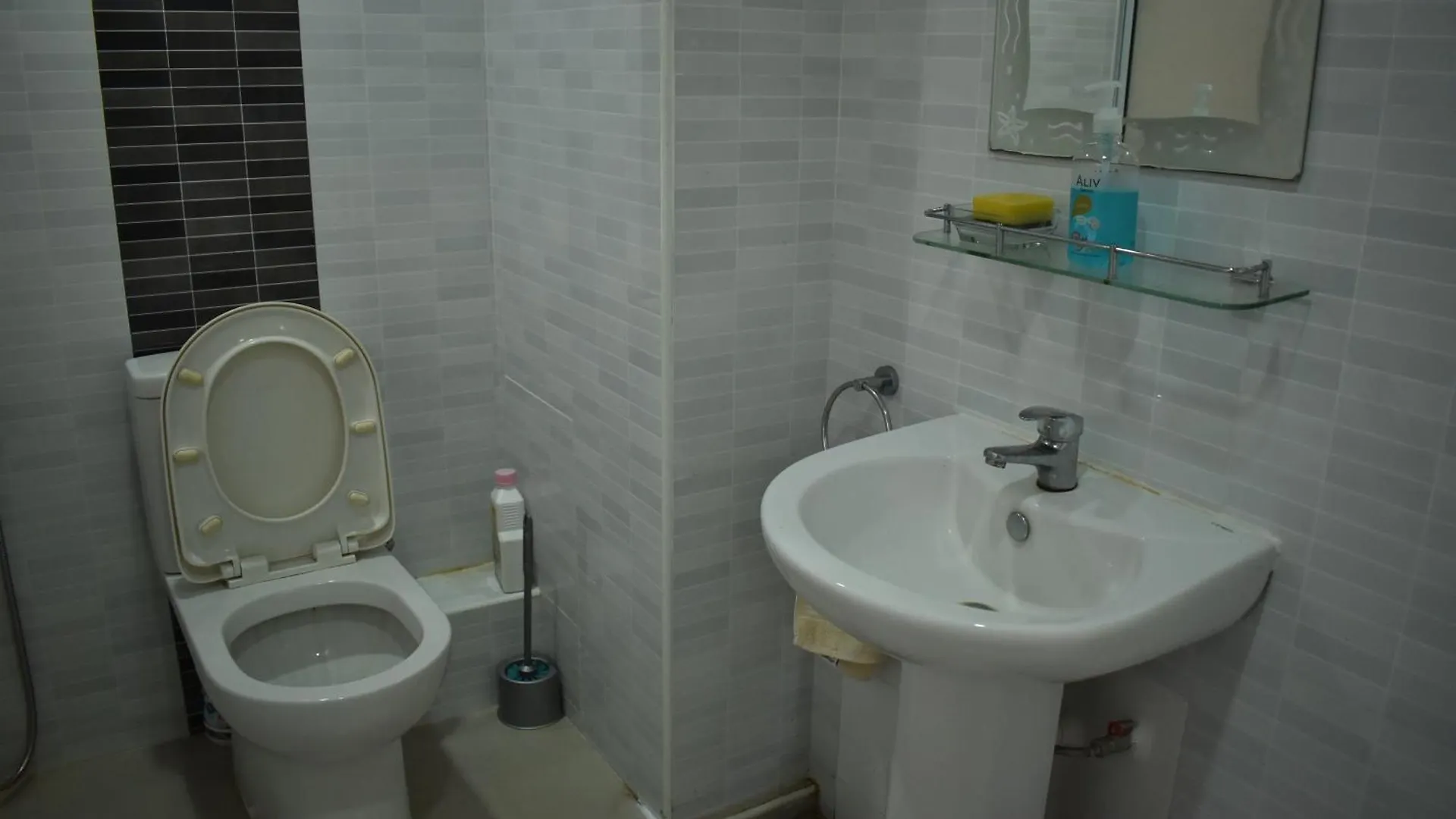 Seaview Resort Batu Ferringhi 0*,